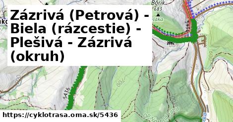 Zázrivá (Petrová) - Biela (rázcestie) - Plešivá - Zázrivá (okruh)