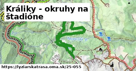 Králiky - okruhy na štadióne