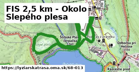 FIS 2,5 km - Okolo Slepého plesa