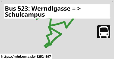 Bus 523: Werndlgasse = >  Schulcampus