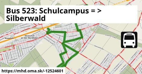 Bus 523: Schulcampus = >  Silberwald