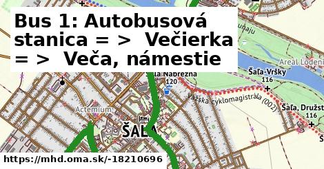 Bus 1: Autobusová stanica = >  Večierka = >  Veča, námestie