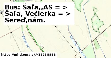 Bus: Šaľa,,AS = >  Šaľa, Večierka = >  Sereď,nám.