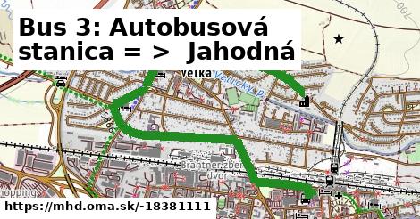 Bus 3: Autobusová stanica = >  Jahodná