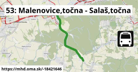 53: Malenovice,točna - Salaš,točna