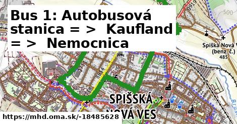 Bus 1: Autobusová stanica = >  Kaufland = >  Nemocnica