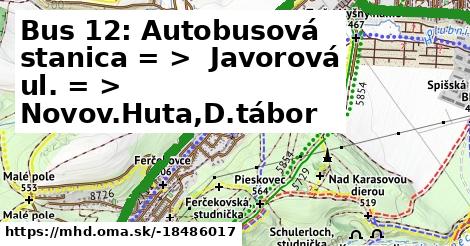 Bus 12: Autobusová stanica = >  Javorová ul. = >  Novov.Huta,D.tábor