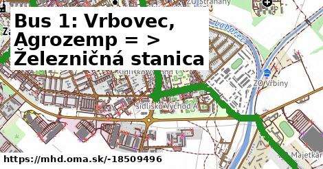 Bus 1: Vrbovec, Agrozemp = >  Železničná stanica