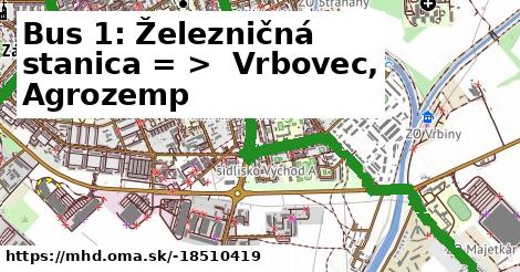 Bus 1: Železničná stanica = >  Vrbovec, Agrozemp