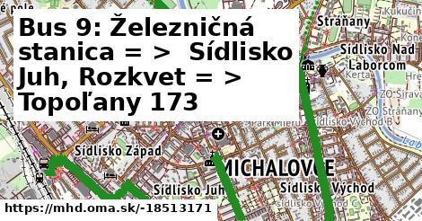 Bus 9: Železničná stanica = >  Sídlisko Juh, Rozkvet = >  Topoľany 173