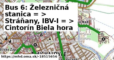 Bus 6: Železničná stanica = >  Stráňany, IBV-I = >  Cintorín Biela hora