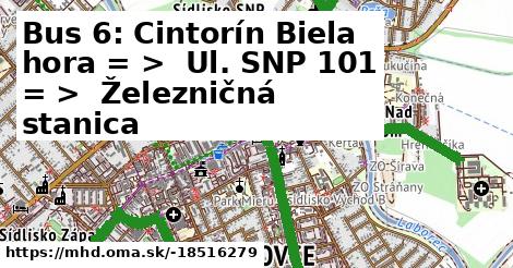 Bus 6: Cintorín Biela hora = >  Ul. SNP 101 = >  Železničná stanica