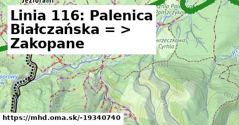 Linia 116: Palenica Białczańska = >  Zakopane