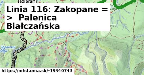 Linia 116: Zakopane = >  Palenica Białczańska