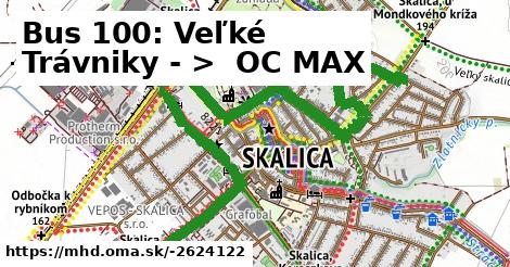 Bus 100: Veľké Trávniky - >  OC MAX