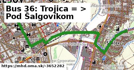 Bus 36: Trojica = >  Pod Šalgovíkom