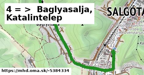 4 = >  Baglyasalja, Katalintelep