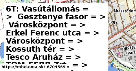 6T: Vasútállomás = >  Gesztenye fasor = >  Városközpont = >  Erkel Ferenc utca = >  Városközpont = >  Kossuth tér = >  Tesco Áruház = >  TOM-FERR Zrt. = >  Fellner Jakab utca