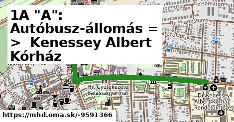 1A "A": Autóbusz-állomás = >  Kenessey Albert Kórház