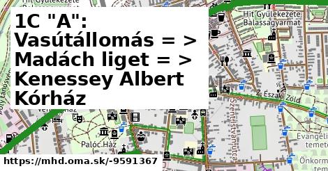 1C "A": Vasútállomás = >  Madách liget = >  Kenessey Albert Kórház