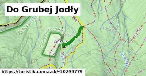 Do Grubej Jodły