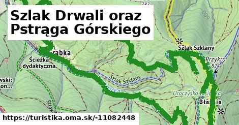 Szlak Drwali oraz Pstrąga Górskiego