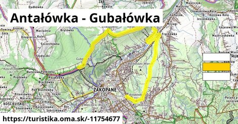 Antałówka - Gubałówka