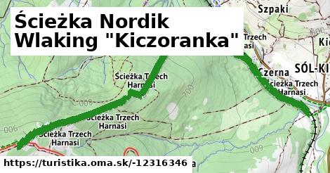 Ścieżka Nordik Wlaking "Kiczoranka"
