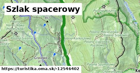 Szlak spacerowy