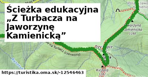 Ścieżka edukacyjna „Z Turbacza na Jaworzynę Kamienicką”