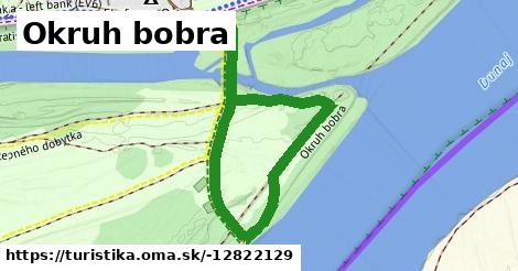 Okruh bobra