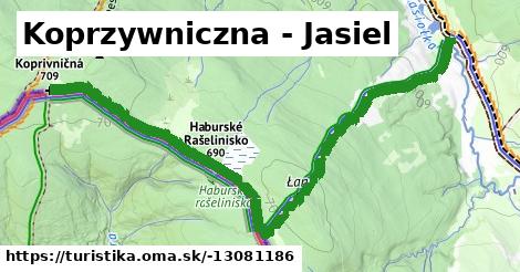 Koprzywniczna - Jasiel