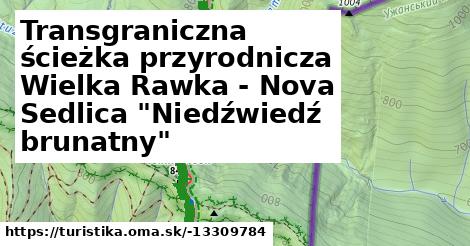 Transgraniczna ścieżka przyrodnicza Wielka Rawka - Nova Sedlica "Niedźwiedź brunatny"