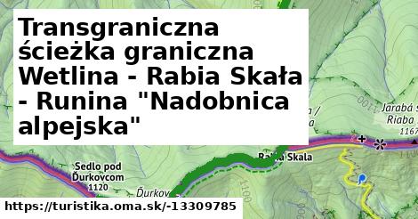 Transgraniczna ścieżka graniczna Wetlina - Rabia Skała - Runina "Nadobnica alpejska"