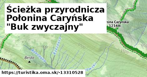 Ścieżka przyrodnicza Połonina Caryńska "Buk zwyczajny"