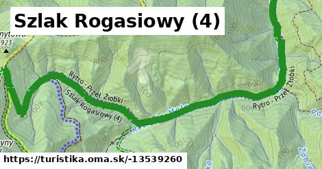 Szlak Rogasiowy (4)