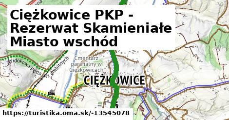 Ciężkowice PKP - Rezerwat Skamieniałe Miasto wschód