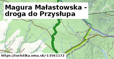 Magura Małastowska - droga do Przysłupa