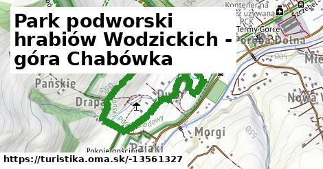 Park podworski hrabiów Wodzickich - góra Chabówka
