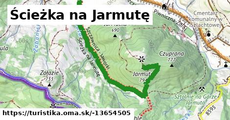 Ścieżka na Jarmutę