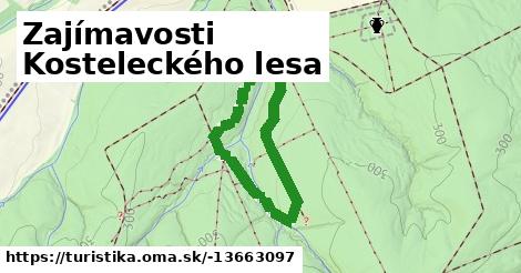 Zajímavosti Kosteleckého lesa