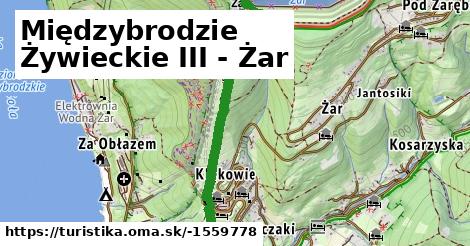 Międzybrodzie Żywieckie III - Żar