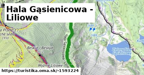 Hala Gąsienicowa - Liliowe