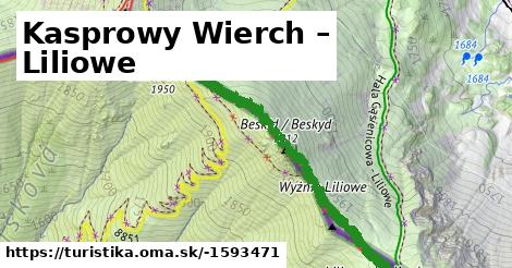 Kasprowy Wierch – Liliowe