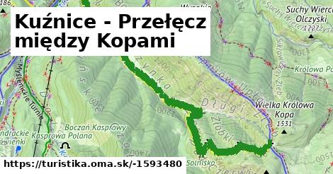 Kuźnice - Przełęcz między Kopami