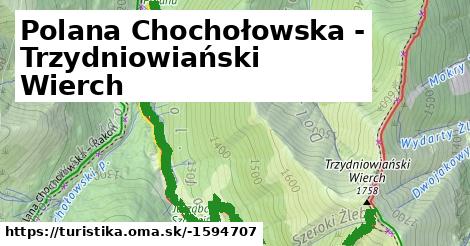 Polana Chochołowska - Trzydniowiański Wierch