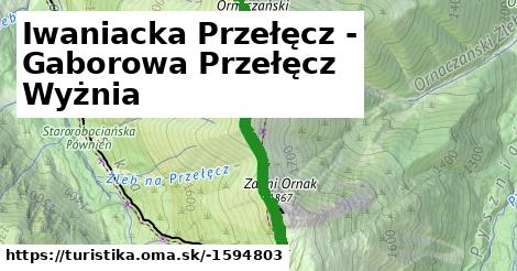 Iwaniacka Przełęcz - Gaborowa Przełęcz Wyżnia