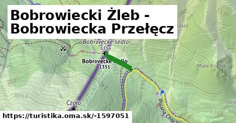 Bobrowiecki Żleb - Bobrowiecka Przełęcz