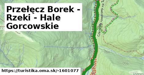 Przełęcz Borek - Rzeki - Hale Gorcowskie