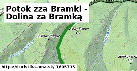 Potok zza Bramki - Dolina za Bramką